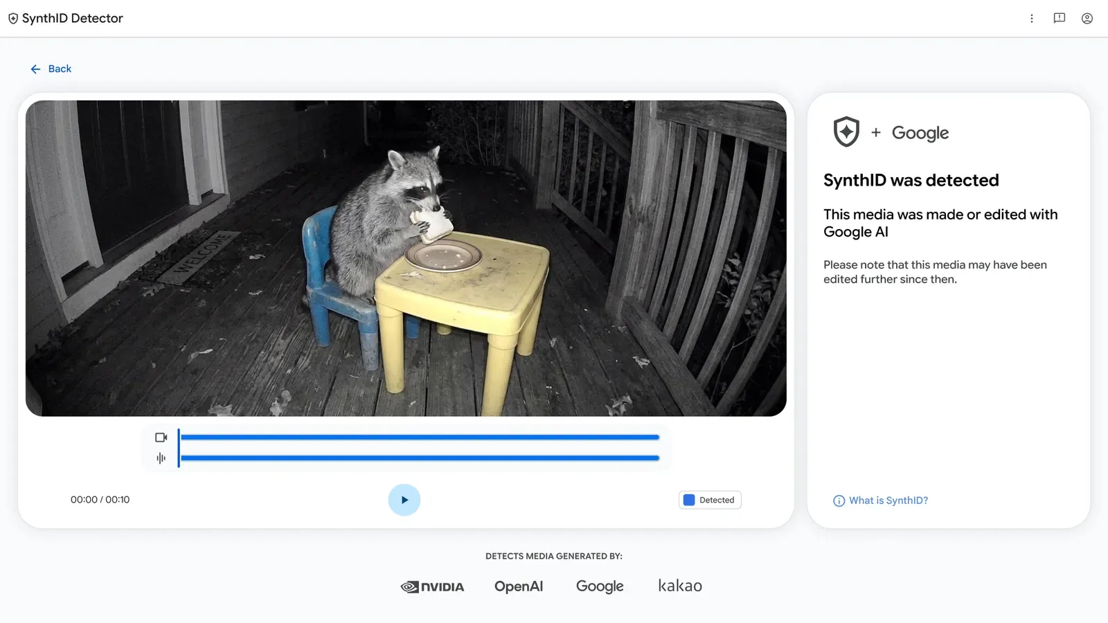หน้าผลตรวจของ SynthID Detector แสดงคลิปแรคคูนจากกล้องอินฟราเรดพร้อมข้อความ SynthID was detected และระบุว่าสร้างหรือแก้ไขด้วย Google AI