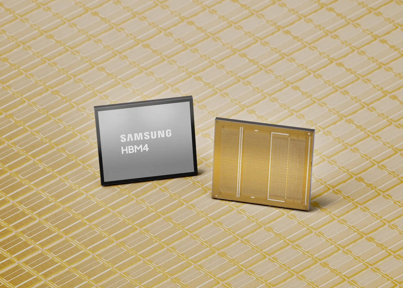 ชิปหน่วยความจำ HBM4 ของ Samsung สองชิ้นวางบนพื้นหลังลายวงจรสีทอง
